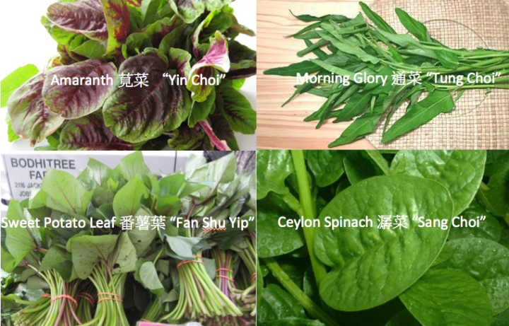 Screen Shot 2014-06-02 at 5.24.19 pm