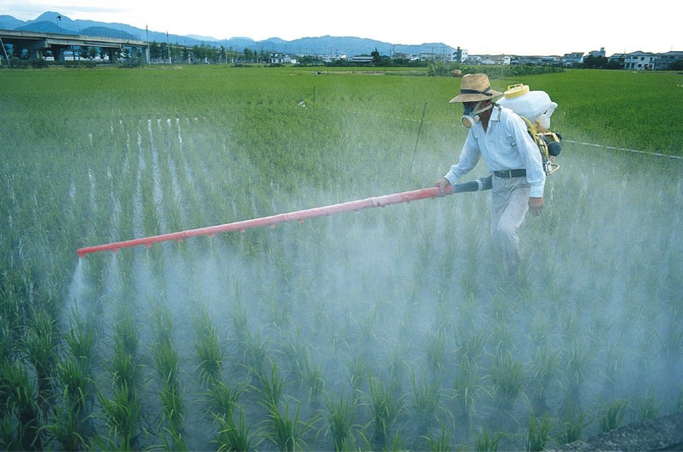 Unravelling The Secrets Of Pesticides Go Green Hong Kong unravelling-the-secrets-of-pesticides-go-green-hong-kong